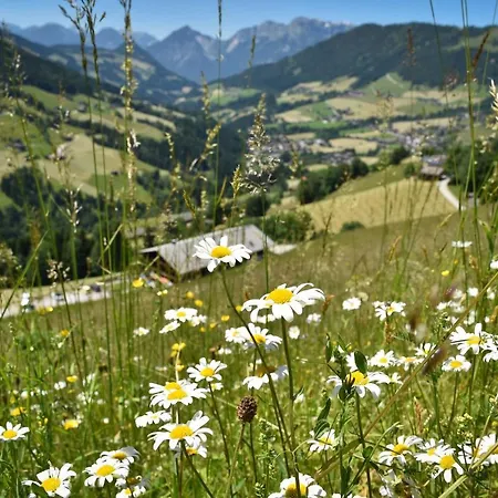 Haus Dorferstuck Apartman Alpbach
