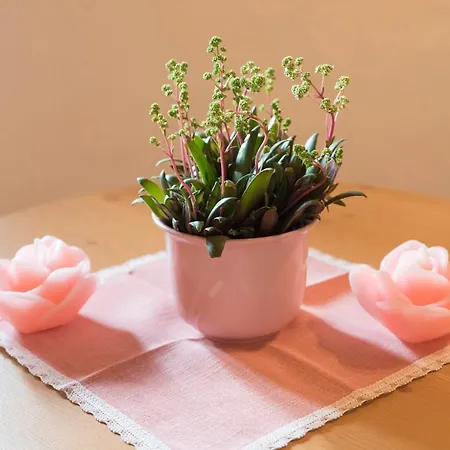 Haus Dorferstuck Alpbach